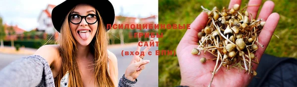 соль курить ск Армянск