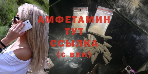 гидра Аркадак
