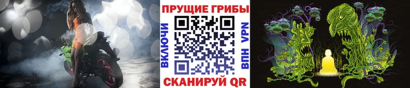 купить закладку Кандалакша Галлюциногенные грибы мухоморы